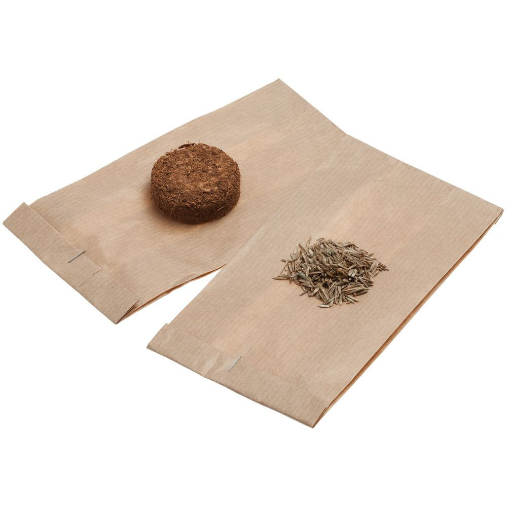 Набор для выращивания Funky...